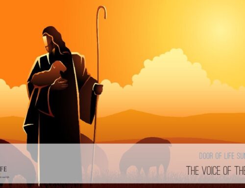 The Voice Of The Shepherd