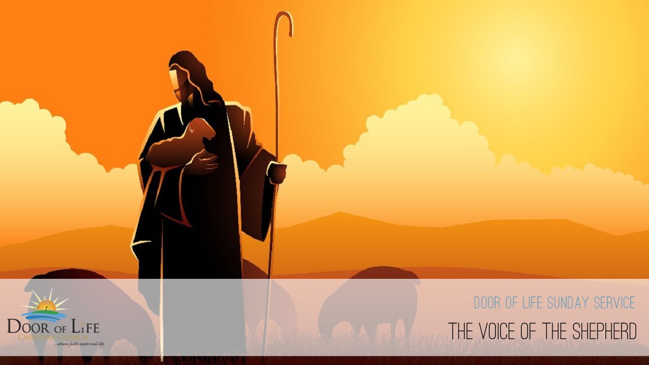 The Voice Of The Shepherd