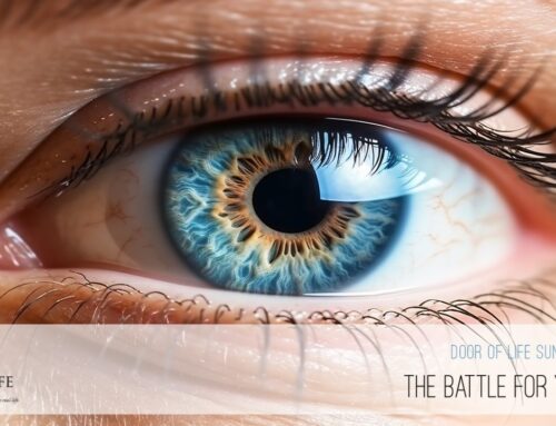 The Battle For Your Eye