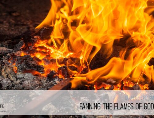 Fanning The Flames of God’s Power