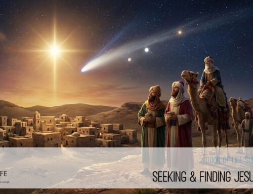 Seeking & Finding Jesus Christ