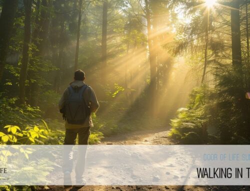 Walking In The Light