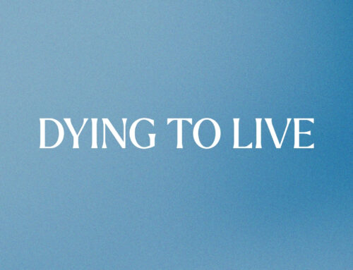 Dying To Live (Jodi Eash)