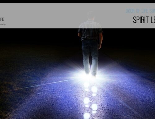 Spirit Led Steps