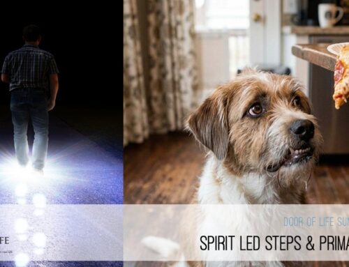 Spirit Led Steps & Primal Urges