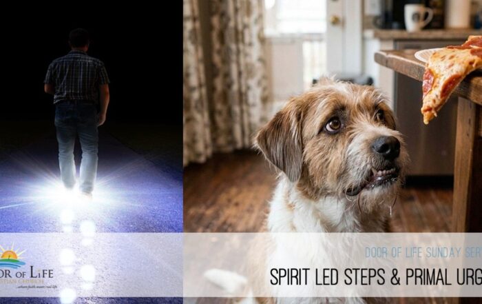 Spirit Led Steps & Primal Urges