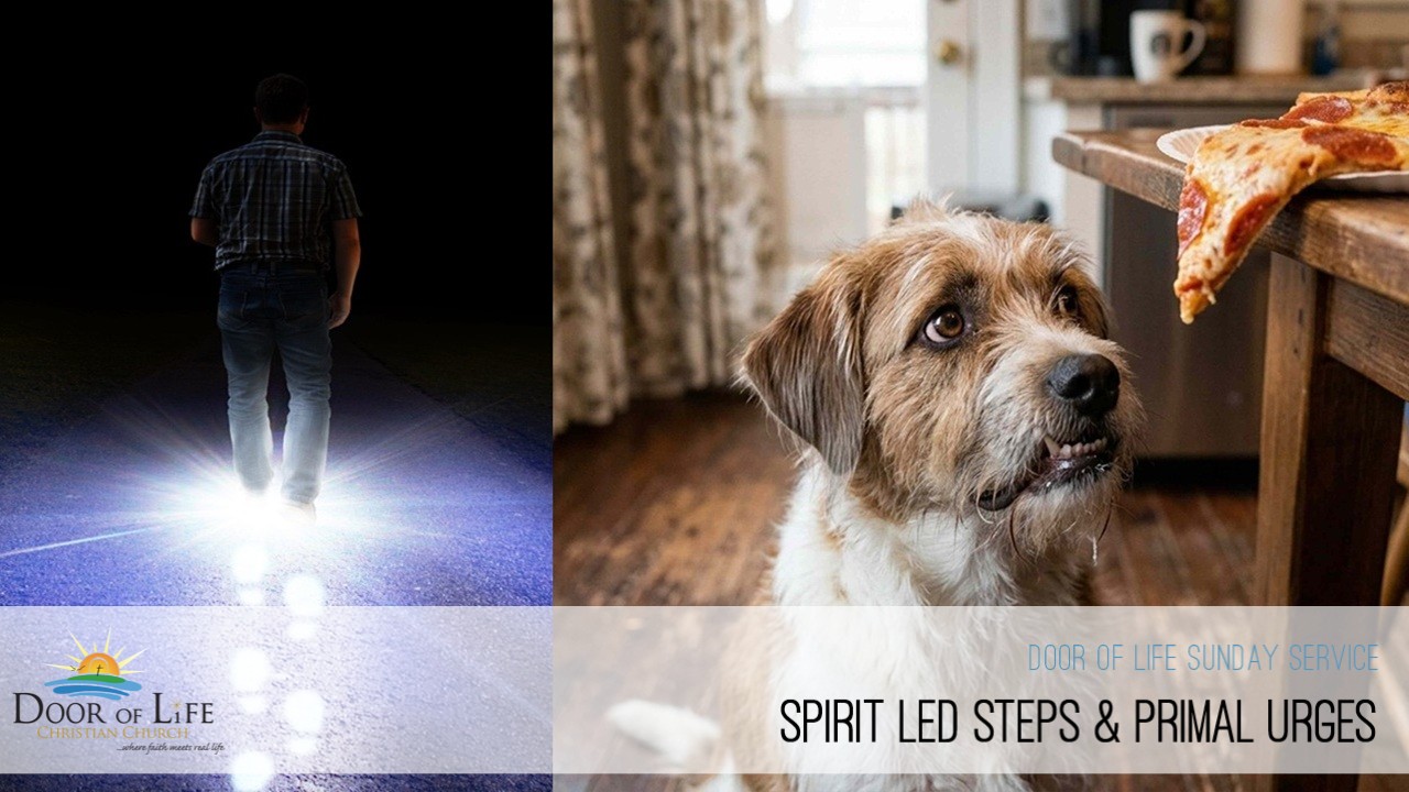 Spirit Led Steps & Primal Urges