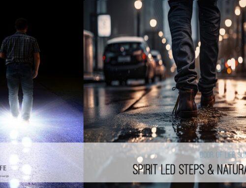 Spirit Led Steps & Natural Steps